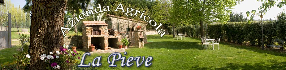 AGRITURISMO LA PIEVE  IN AZIENDA AGRICOLA A MAGLIANO IN TOSCANA GROSSETO MAREMMA ITALIA